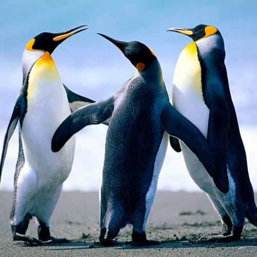 3337