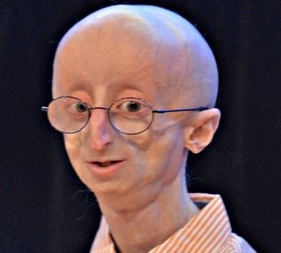 4329