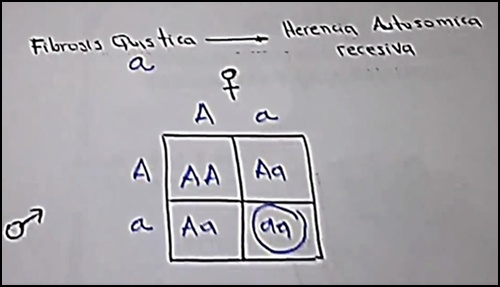 4331